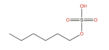 1-Hexyl sulfate